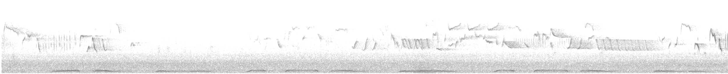 holub hřivnáč - ML600876281