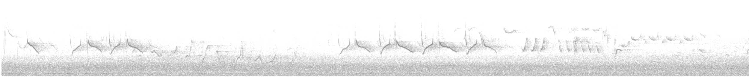 Carbonero Garrapinos - ML600880281