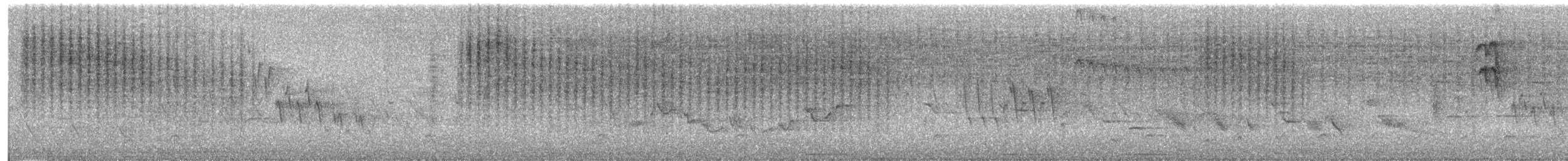 Troglodyte familier (groupe aedon) - ML600959961