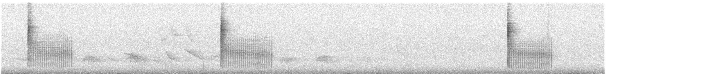 Красношапочная иглохвостка - ML600972001