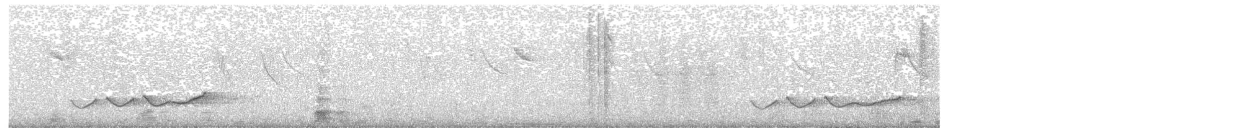 Rostbrauenvireo (ochrocephala) - ML600972251