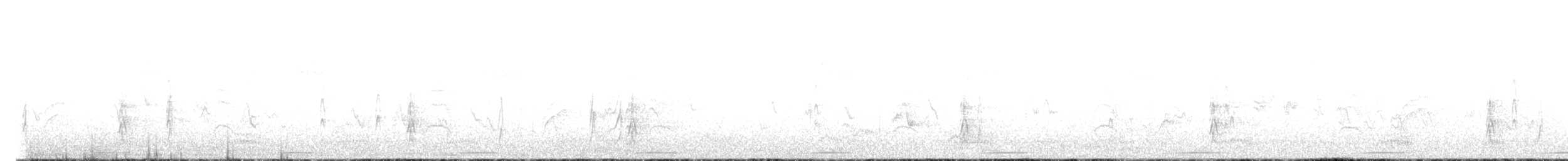 Талпакоті строкатоголовий - ML600979991