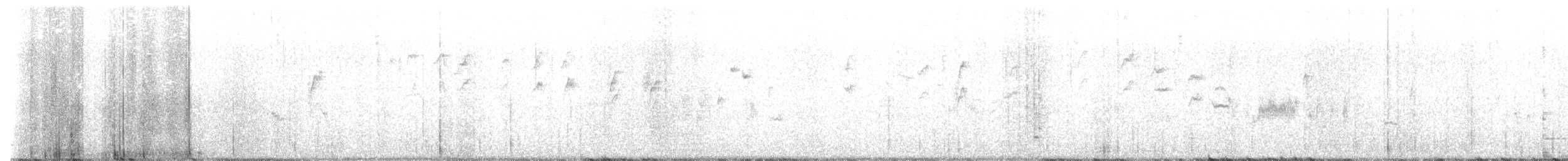 Troglodyte de Bewick - ML600988791