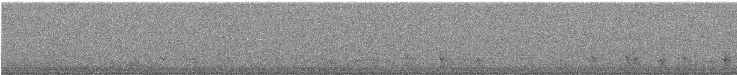 Belatxiki arrunta - ML600995581