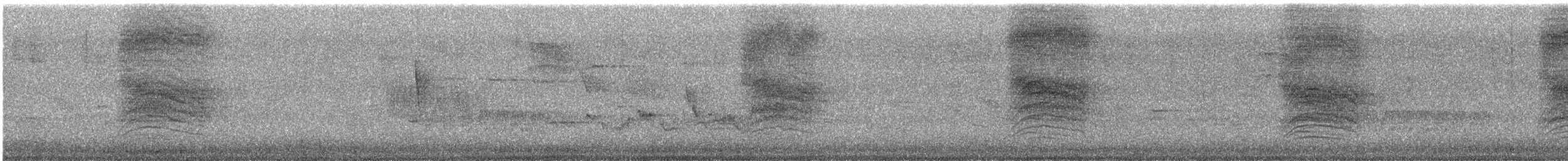 Miaulari grisa - ML601001891
