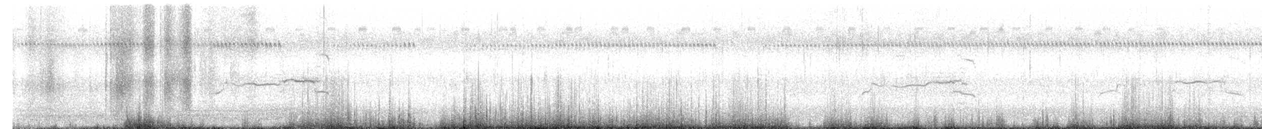 Caspian Tern - ML601007661