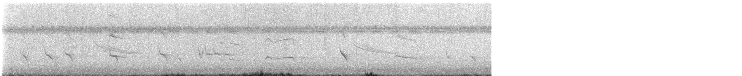 Fischadler (carolinensis) - ML601012521