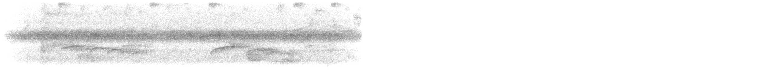 Тиран-карлик буроголовий - ML601028561