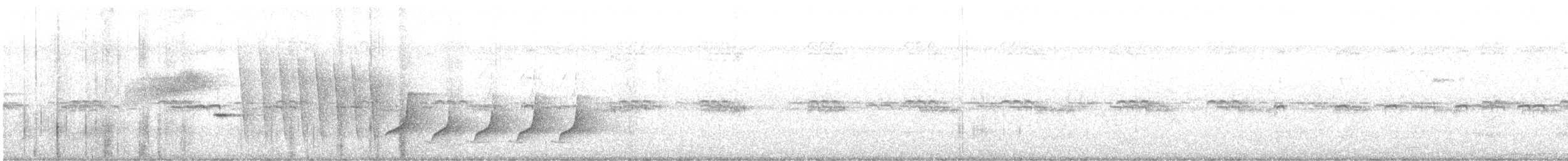 Troglodyte barré - ML601028891
