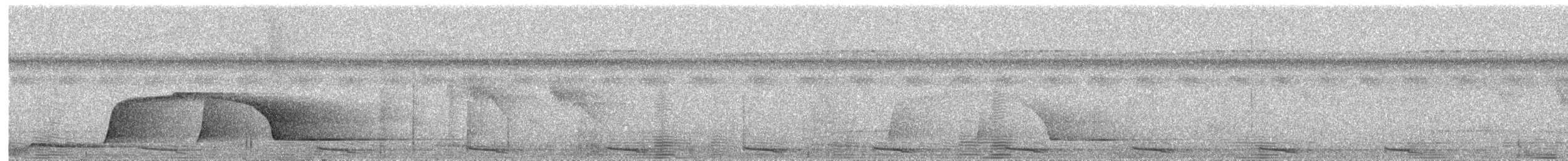 ギンムネカッコウ - ML601029341