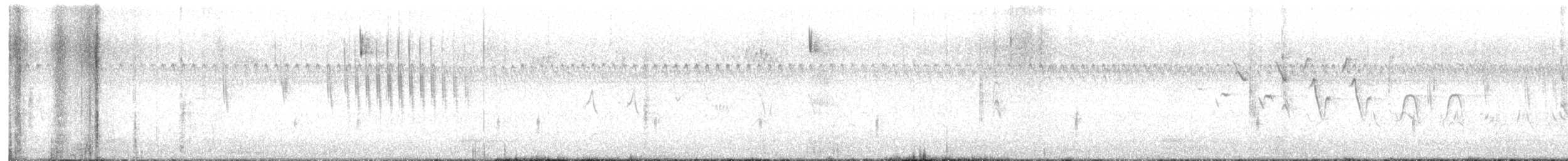 Sedge Wren - ML601029901