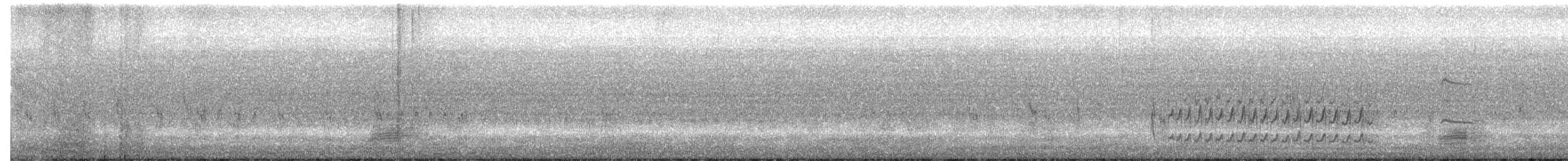 jespák srostloprstý - ML601037611
