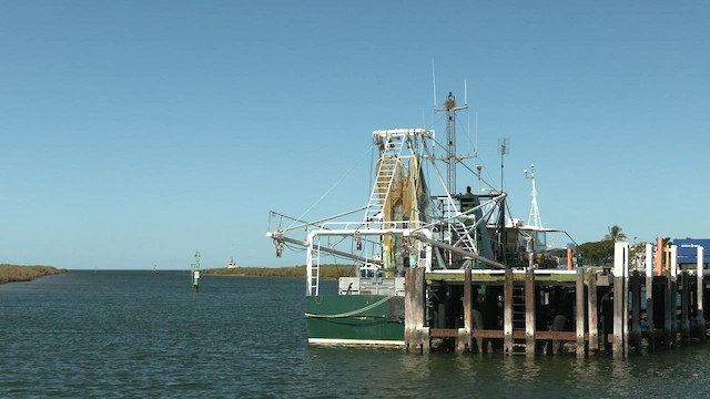 Little Crow - ML601122831