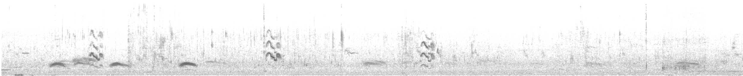 Weißwangen-Seeschwalbe - ML601162341