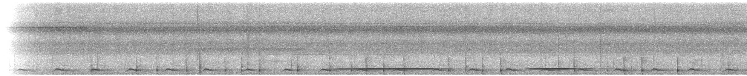 White-throated Tinamou - ML601209171