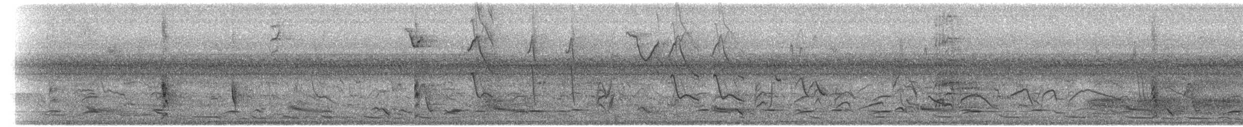 Black-billed Seed-Finch - ML601210431