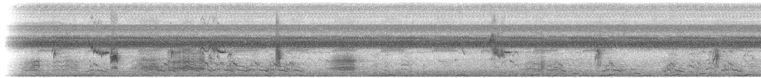 Black-billed Seed-Finch - ML601210451