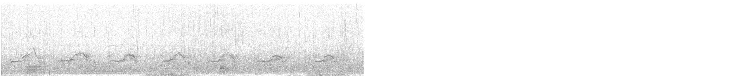 Magellanic Cormorant - ML601229611