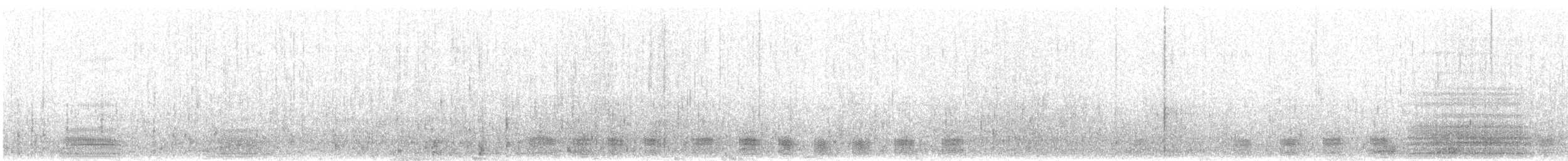 Magellanic Cormorant - ML601229651