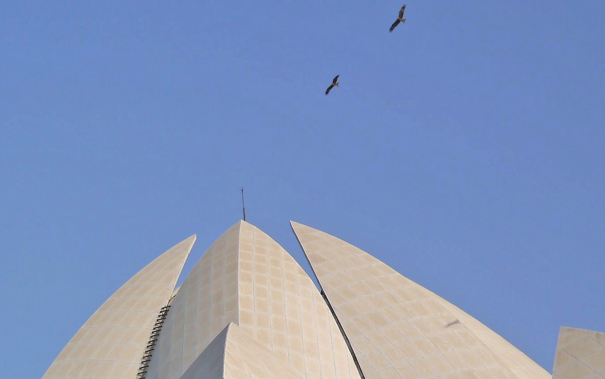 Сохор элээ - ML601233651