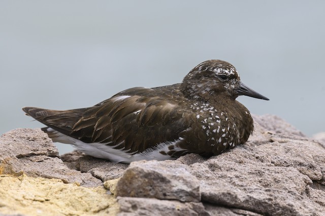 California , June 2023