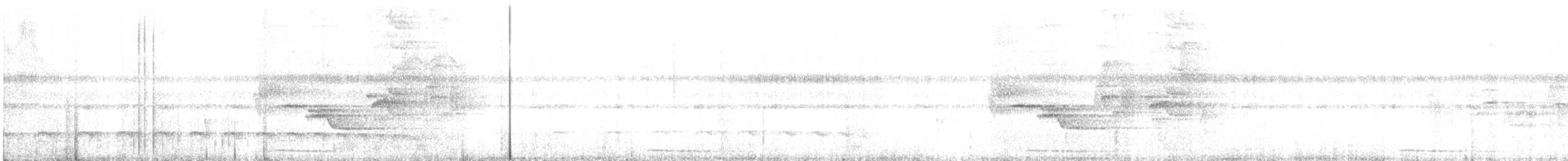 Streifenkopf-Ameisenvogel - ML601268151