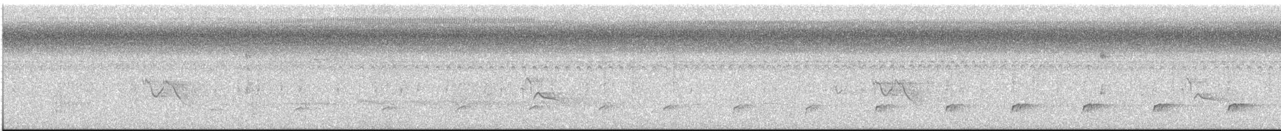 kukačka veverčí [skupina cayana] - ML601286711