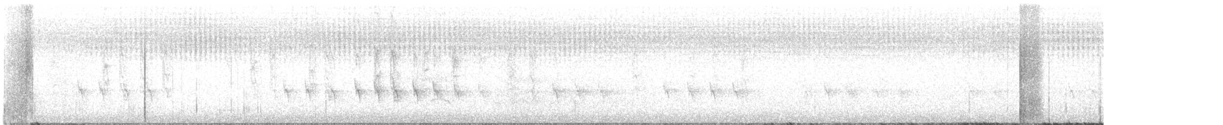 Bec-croisé des sapins - ML601292841