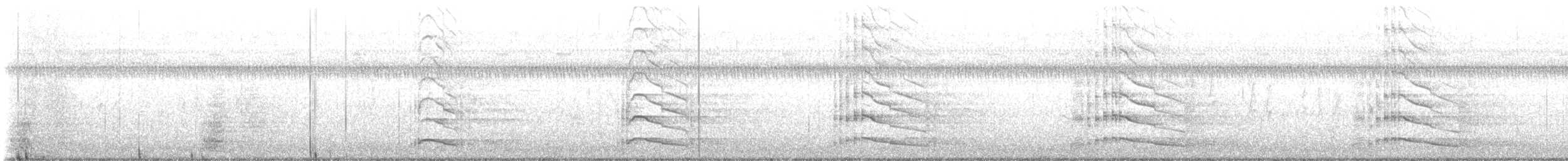 Limpkin - ML601300601