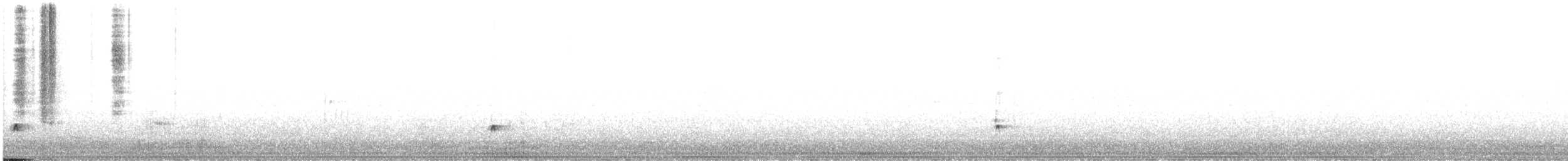Ash-throated Flycatcher - ML601334591