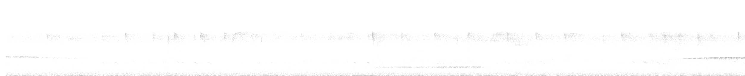 Rufous-tailed Antthrush - ML601342561