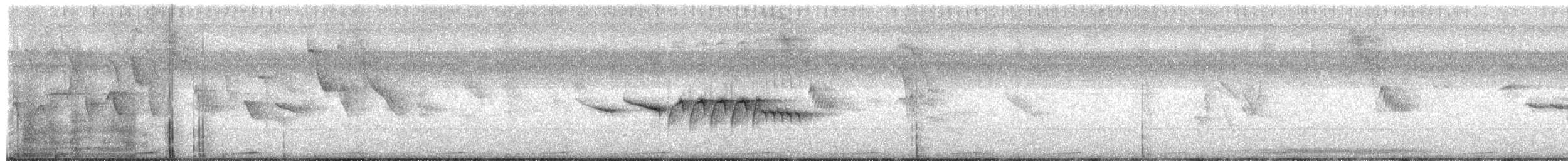 Morelet Tohumculu - ML601350761