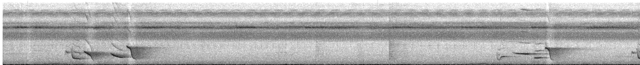 Siffleur de Waigeo - ML601355521