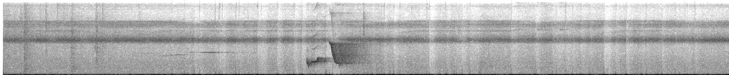 Miro à flancs noirs - ML601356741