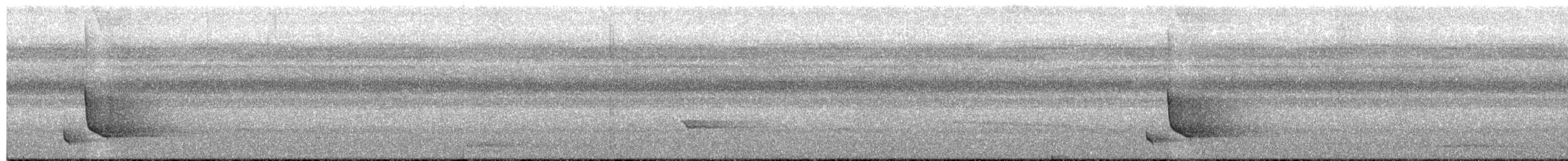 Miro à flancs noirs - ML601356751