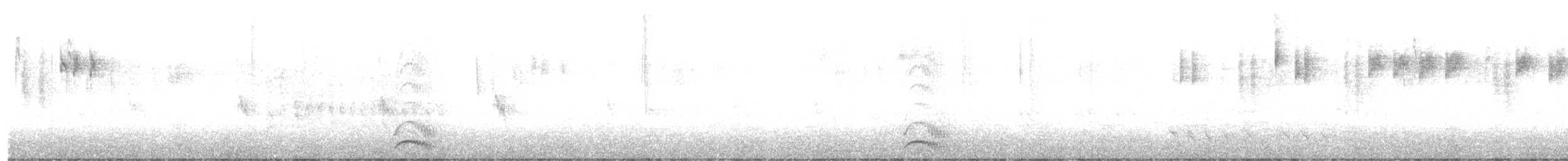 Spotless Crake - ML601367781