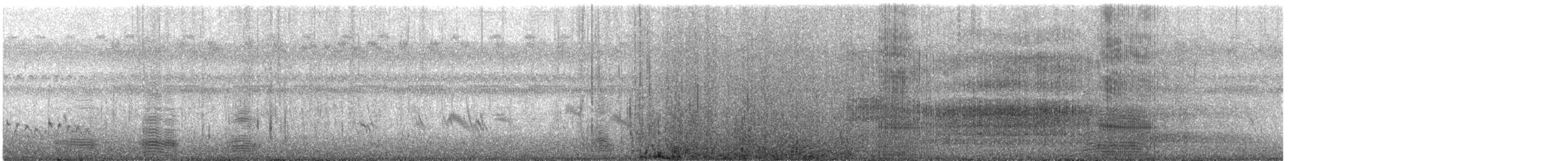 Great Egret - ML601378591