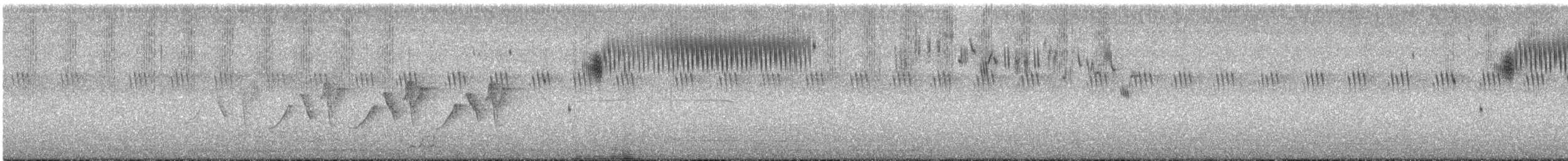 Heuschreckenammer - ML601390631