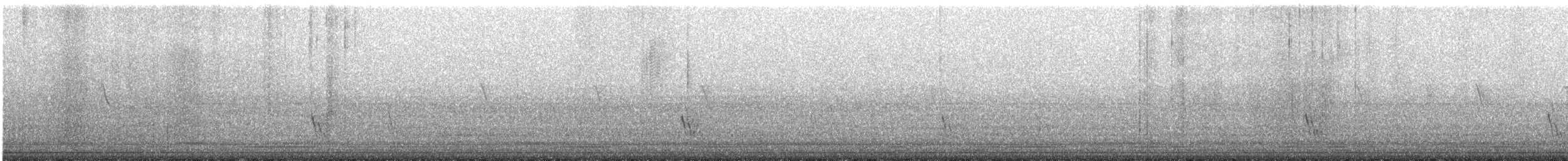 Büyük Mor Kırlangıç - ML601405691