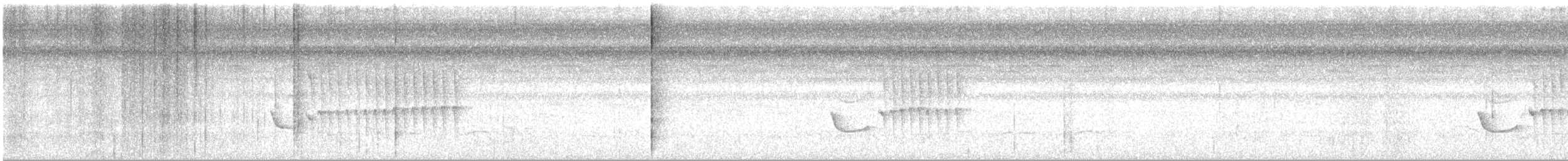 Stripe-chested Antwren - ML601405711