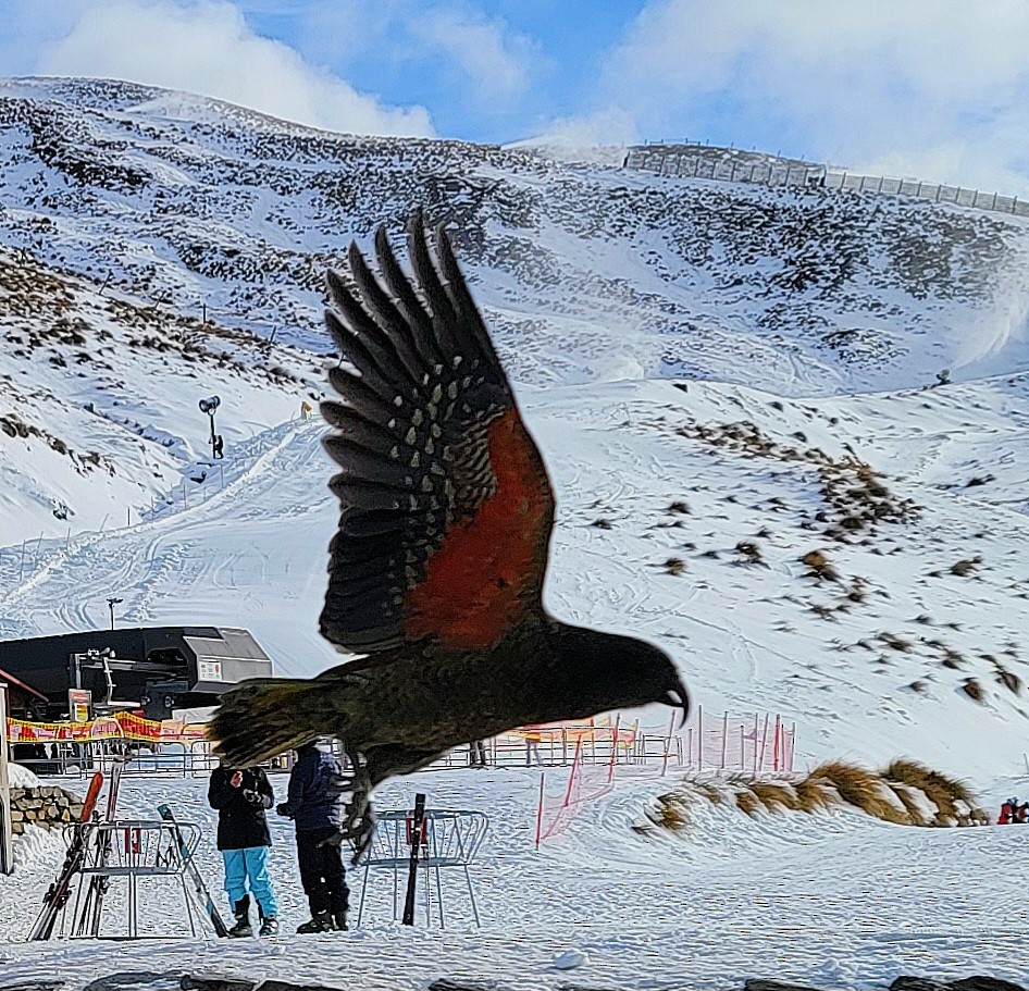 Kea - ML601443951