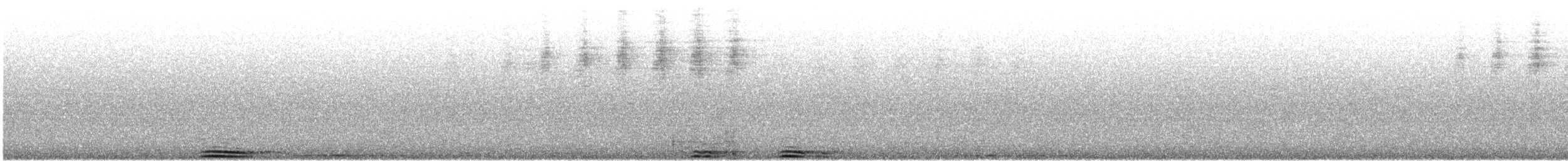 Ural Baykuşu [uralensis grubu] - ML601474111