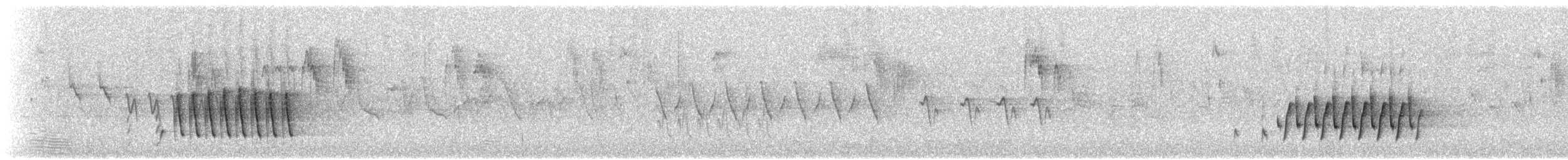 Radde's Warbler - ML601478481