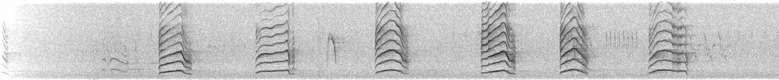 Northern Lapwing - ML601478831