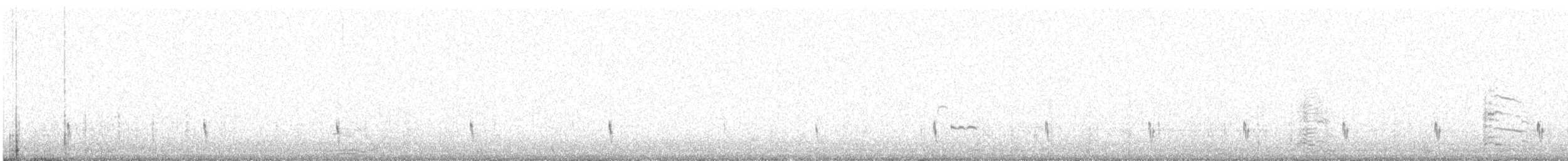 Silvery Grebe - ML601484251