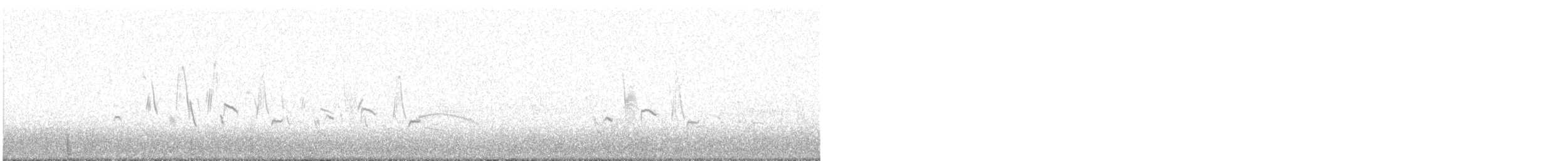 Korrendera İncirkuşu (grayi) - ML601484461