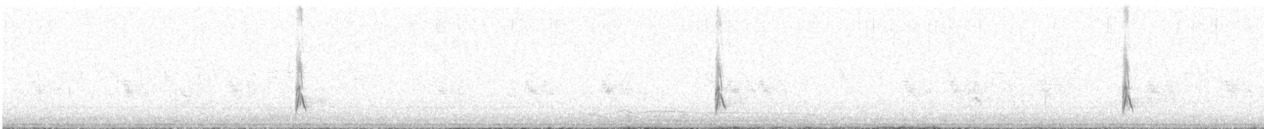 Long-tailed Meadowlark - ML601485731