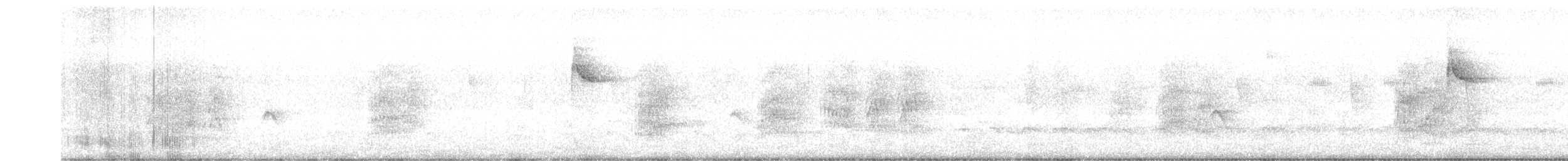 Paruline à paupières blanches - ML601487261