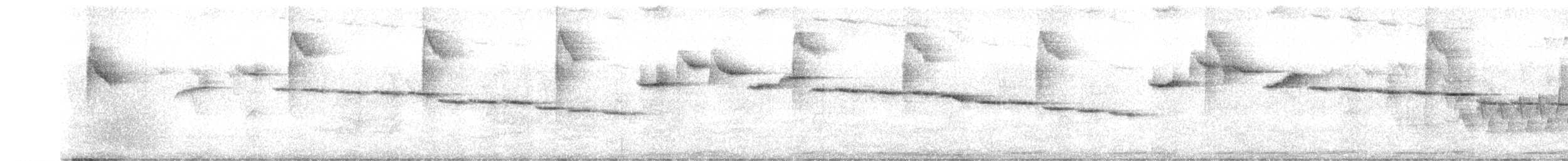 Paruline à paupières blanches - ML601487301