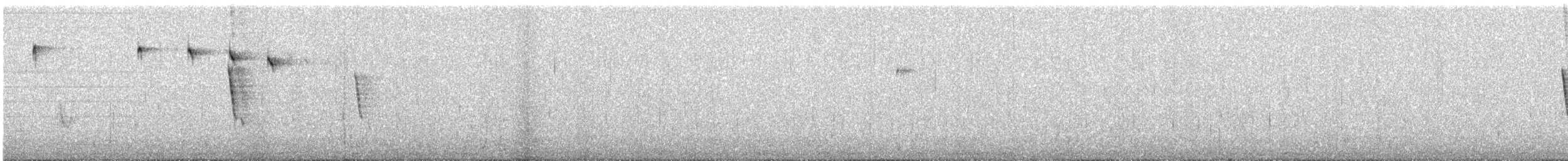 Інкавець тонкодзьобий - ML601505311